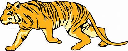 Tiger Clipart Jeep Walking Vector Clipartly