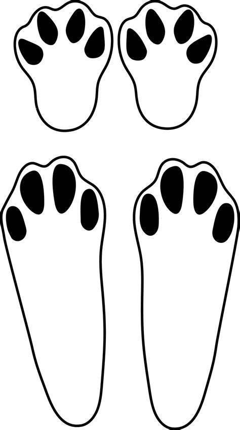 Cute Rabbit Footprints Isolated Illustration On A White Background