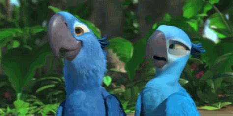 Animated Film Reviews Rio 2 2014 More Tropical Love Bird Adventures