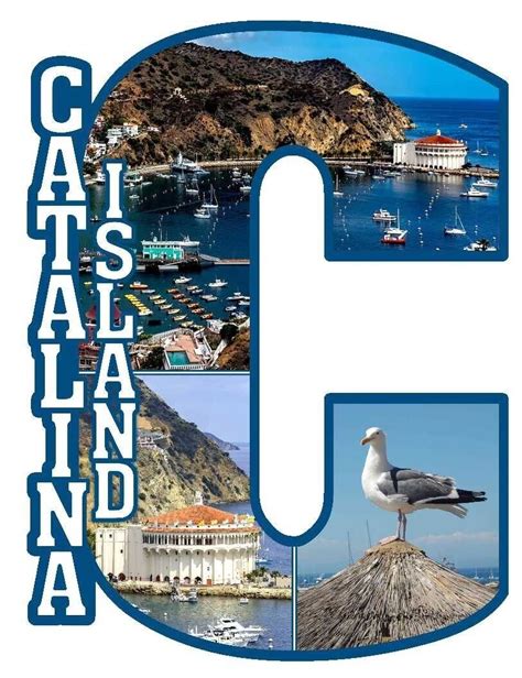 Catalina Island Capital C Collage Fridge Magnet