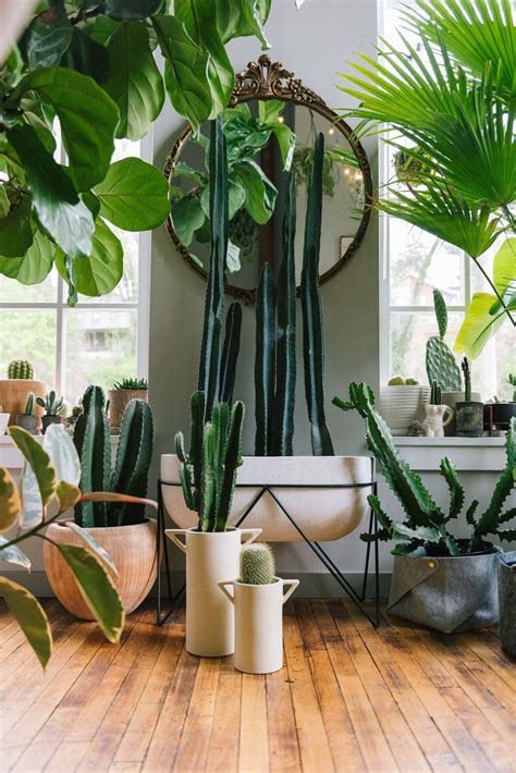 2030 Living Room Plants Decoration