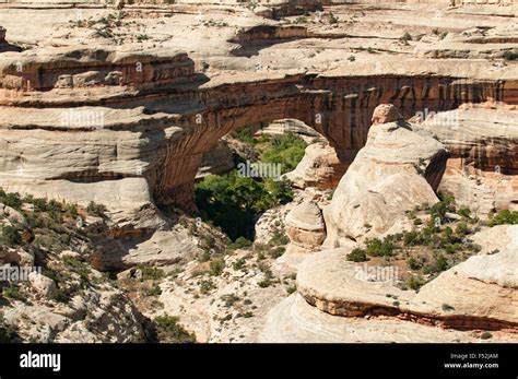 Sipapu Bridge Natural Bridges National Monument Utah Usa Stock Photo