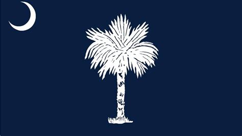 Sc Senators Settle On New State Flag Design After Disasters The State