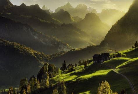 Switzerland Sunrise Mountain Mist Forest Road Grass