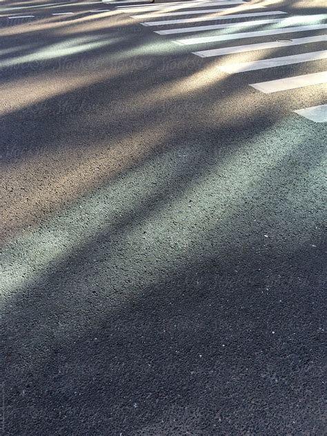 Sun Light On A Asphalt By Stocksy Contributor Amor Burakova Stocksy