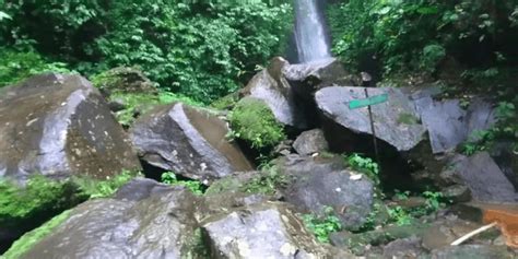 Wisata hutan desa setianegara 8. Destinasi Wisata Kuningan yang Memukau - Ciremai Cofee Co.