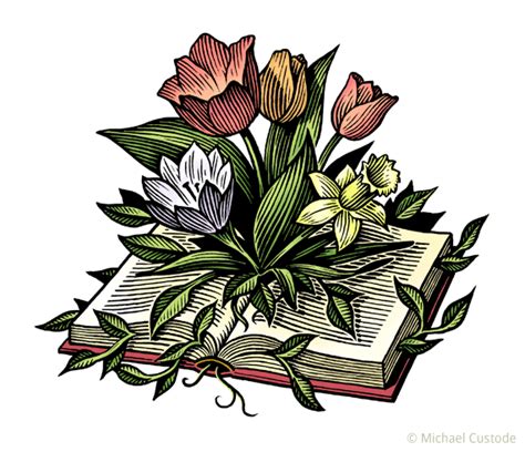 Spring Books Michael Custode Illustration And Design