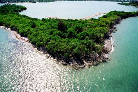 ¿qué Es Un Estuario Estuario