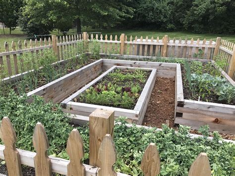 How To Layout A Vegetable Garden In Raised Bed