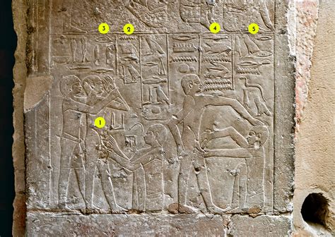 circumcision before the bible sesh medew netcher the ancient egyptian hieroglyphic writing