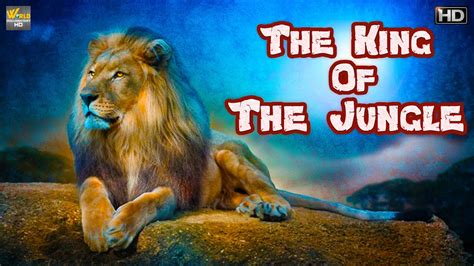 The King Of The Jungle क्यूं शेरो को कहा जाता है जंगल का राजा Wild