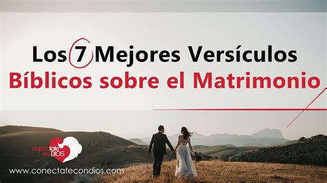 👩‍ ️‍👨 los 7 mejores versículos bíblicos sobre el matrimonio citas bíblicas para parejas