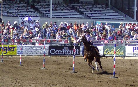 A Cowgirl Make Her Way Through The Pole Bending Course At The Nhsfr
