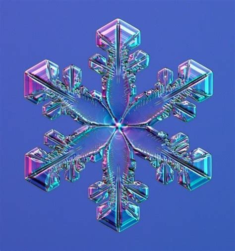 Real Snowflake Patterns Real Snowflake Under An Electron Microscope