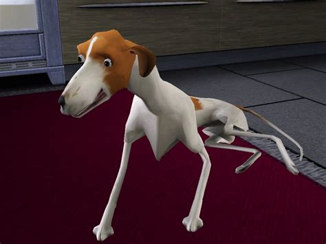 Sometimes Sims 3 Pets Scare Me Thesims