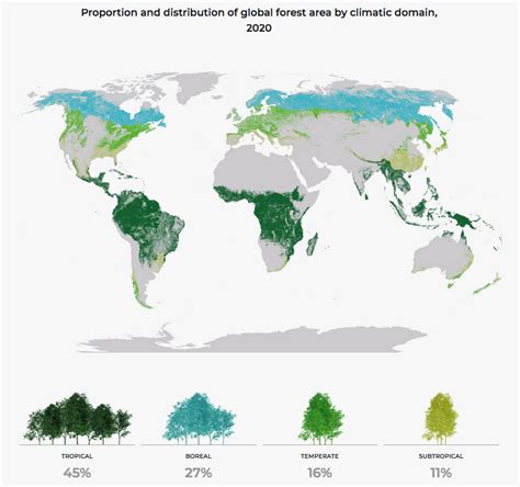 Global Forest Resources Assessment 2020 Key Findings2020 Renewable
