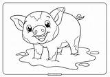 Pig Coloring Baby Printable Whatsapp Tweet Email sketch template