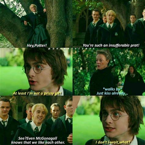 Drarry This Is Why Mcgonnagal Is My Second Fav Character Harry Potter Headcannons Harry