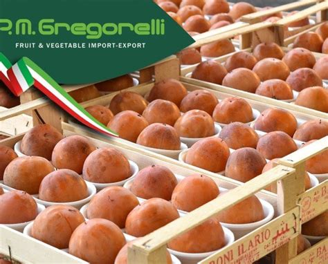 Pm Gregorelli Ingrosso E Distribuzione Frutta E Verdura Brescia