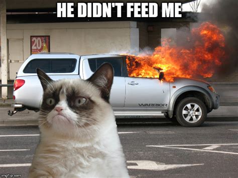 Grumpy Cat Car On Fire Imgflip