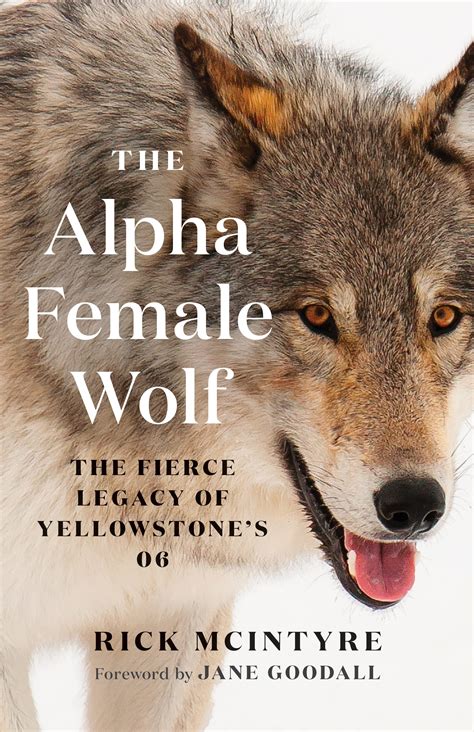 The Alpha Female Wolf The Fierce Legacy Of Yellowstones 06 The Alpha