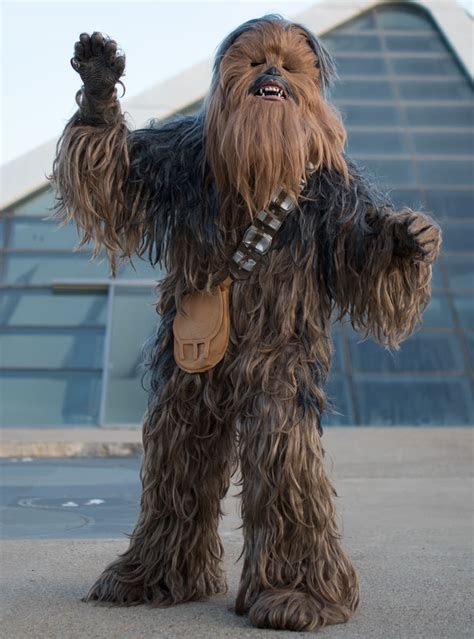 Supreme Chewbacca Adult Costume Buy Online At Funidelia