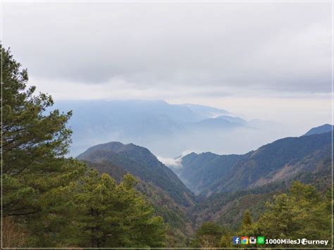 Alishan Taiwan All About Taiwan เที่ยวไต้หวันง่ายมาก