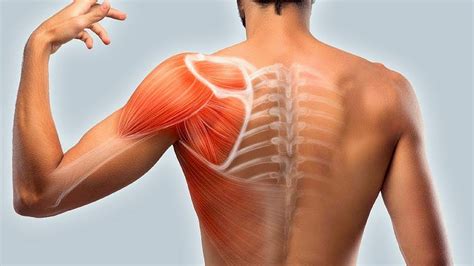 7 Homemade Solutions To Reduce Muscle Spasms