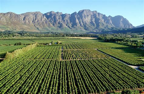 490907 Cape Wine Route Photograph By Universal Images Group Fine Art