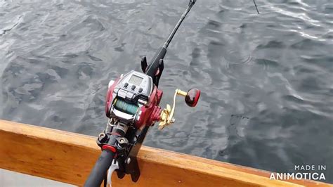 Daiwa Seaborg 500mj Amazing Electric Reel YouTube