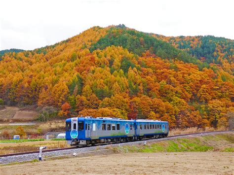 11 Uniquely Themed Trains In Japan You Must Hop Aboard On Your Next