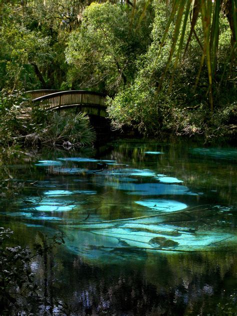 17 Spots In Florida That Are Straight Out Of A Fairy Tale