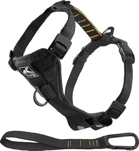 The Best Dog Car Safety Harnesses Ipetcompanion