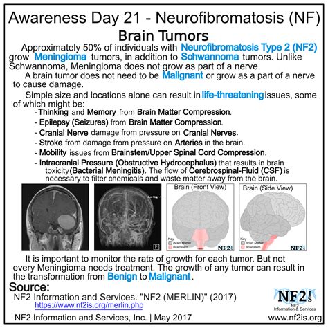 Pin On Neurofibromatosis Type 2 Nf2