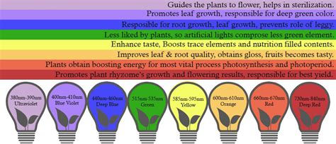 What spectrum of light is best for plants. Can I use normal LED Lights to Grow Plants Indoors ...