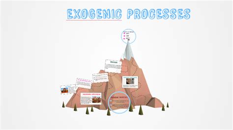 Quiz4 Exogenic Process Science Quiz Quizizz