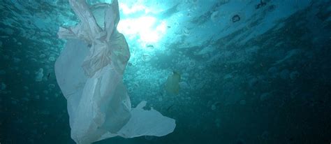 La Contaminación De Plástico En Los Mares Podría Triplicarse En 2040