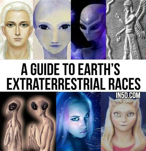 Pin By The Druidess Of Midian On Eldar Elvin Eben S Aliens And Ufos Ancient Aliens Alien