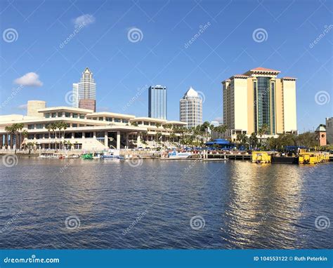 Harbour Island In Tampa Fl Stock Photo Image Of Downtown Harbour