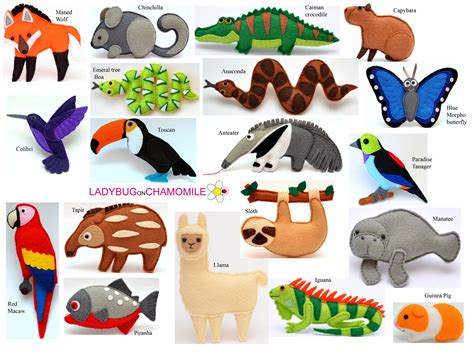 Learn about the amazon rainforest and the endangered animals that live there! SOUTH AMERICAN and Amazon RAINFOREST animals, Tropical ...