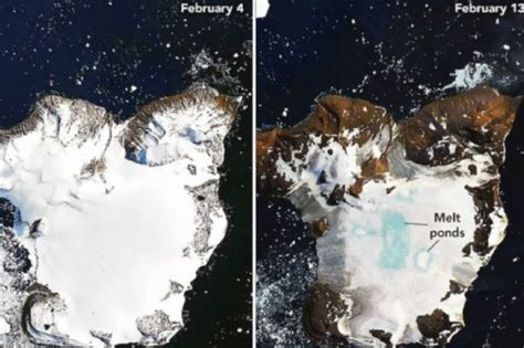 Limpatto Del Record Di Temperature In Antartide è Stato Devastante Il