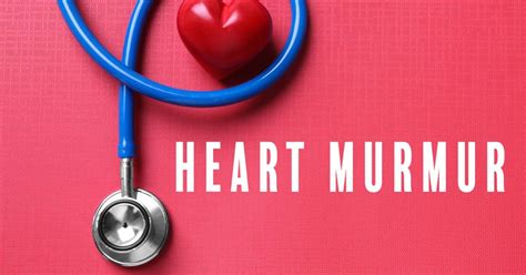 10 things to know about heart murmurs facty health