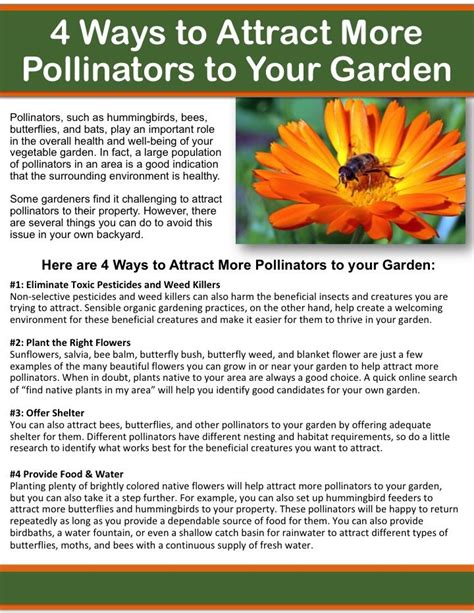 Ways To Attract More Pollinators To Your Garden And Homestead Pollination Pollinator Garden