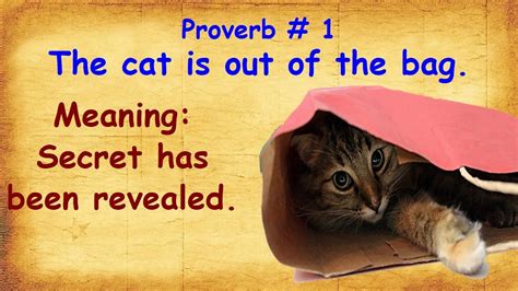 Start studying unit 8 vocabulary english meaning. Top 15 English Proverbs with Meaning | Most Useful ...