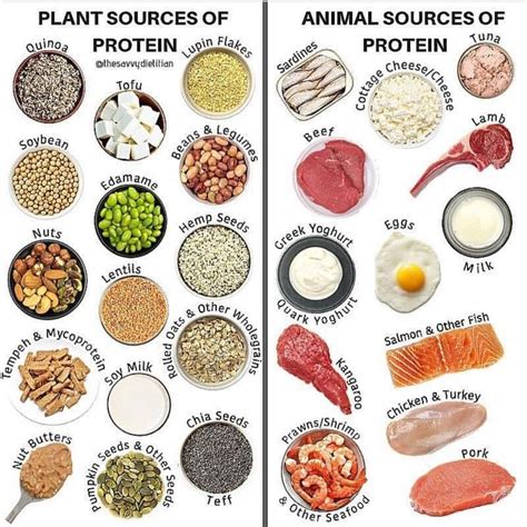 Meal Plan On Instagram “plant Protein Sources And Animal Protein Sources