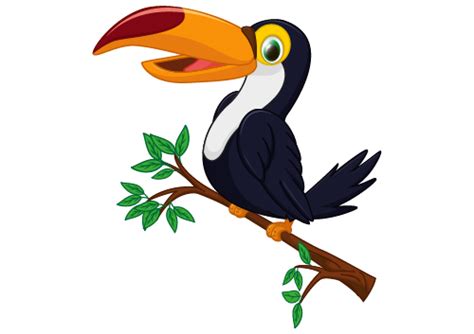 Toucan Clipart Free Download Transparent Png Clipart Library Clip