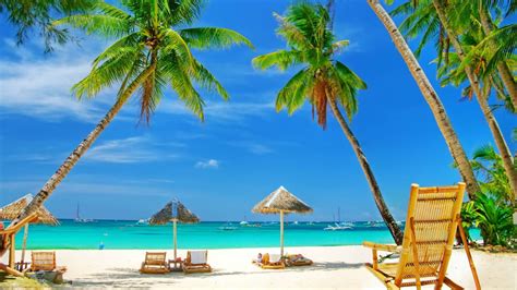 Tropics Palm Palms Caribbean Blue Sky Vacation Shore Ocean