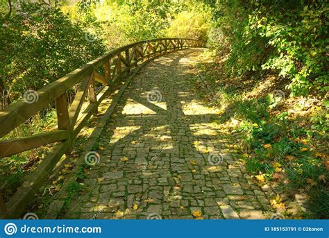 Stone Paved Path In The Autumn Forest Stock Image Image Of Beautiful