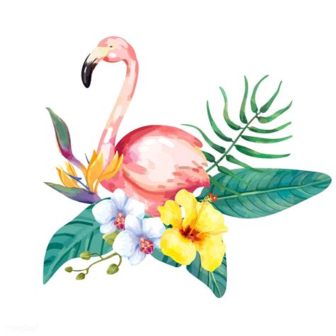 Hand Drawn Flamingo Bird With Tropical Flowers Premium Image By