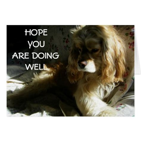Hope You Are Doing Well Greeting Cards Zazzle